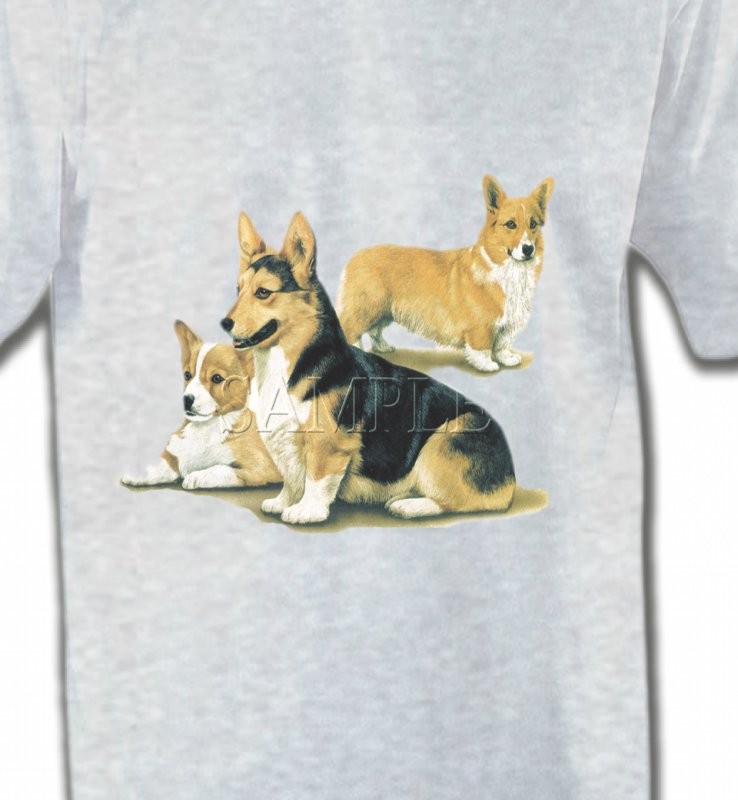 Famille Welsh Corgi (D)