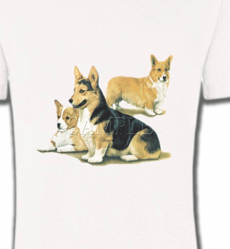 Famille Welsh Corgi (D)