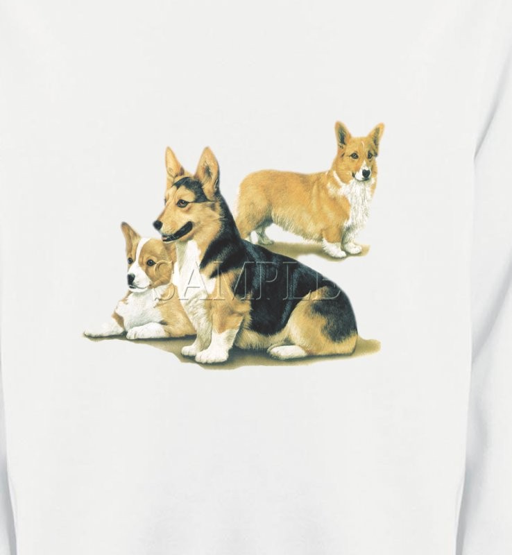 Famille Welsh Corgi (D)