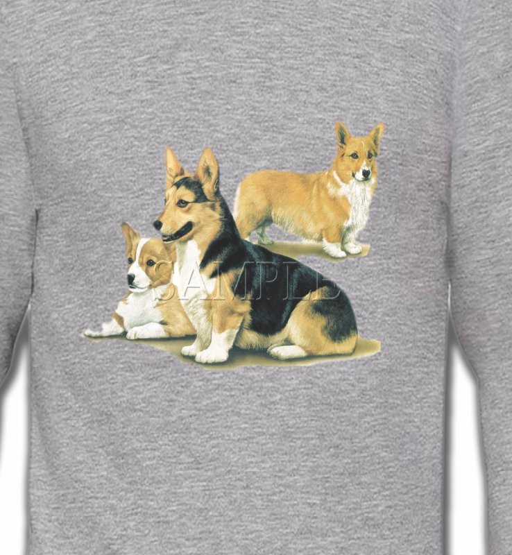 Famille Welsh Corgi (D)