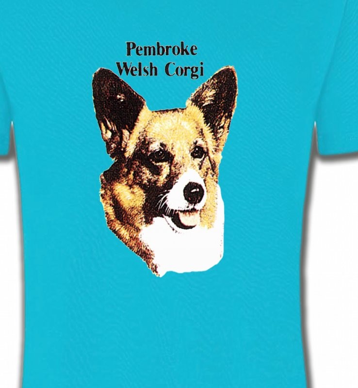 Tête de Welsh Corgi (A)