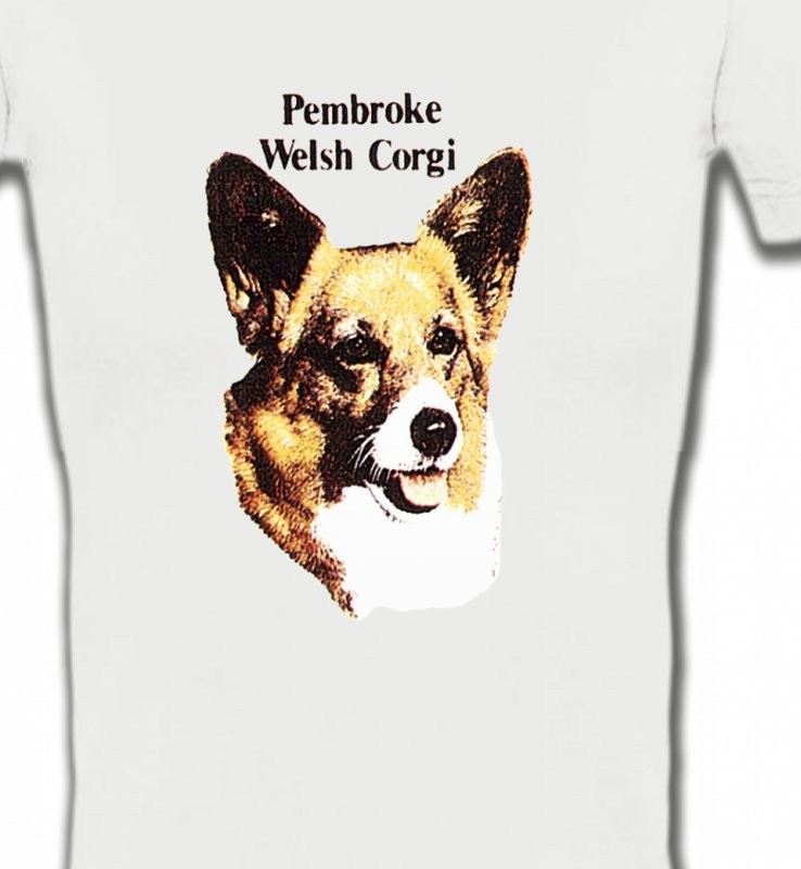 Tête de Welsh Corgi (A)