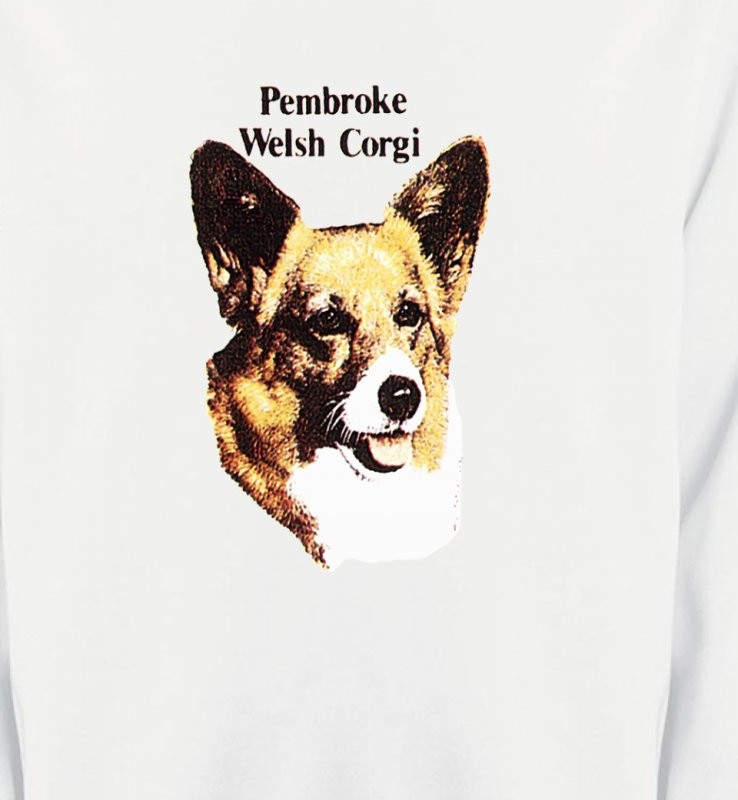 Tête de Welsh Corgi (A)