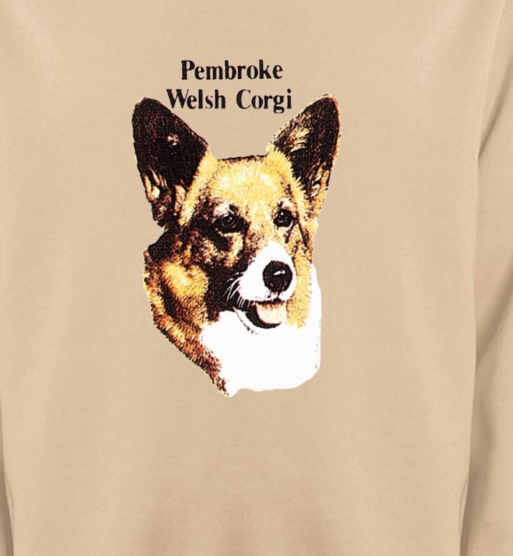 Tête de Welsh Corgi (A)