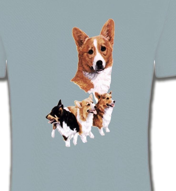 Famille Welsh Corgi (C)