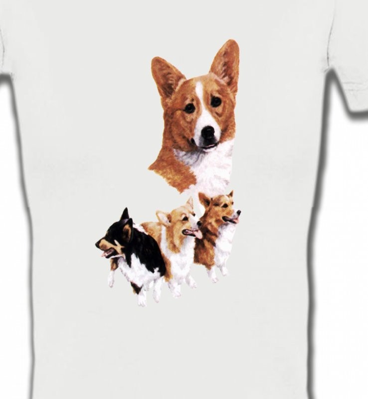 Famille Welsh Corgi (C)