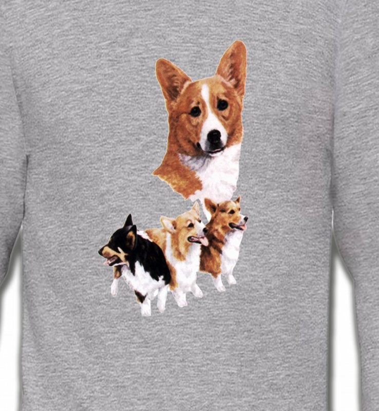 Famille Welsh Corgi (C)