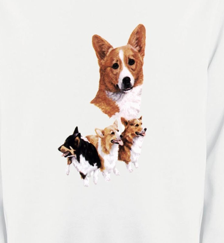 Famille Welsh Corgi (C)