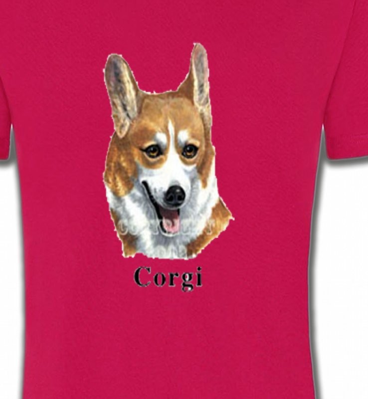 Tête de Welsh Corgi (B)