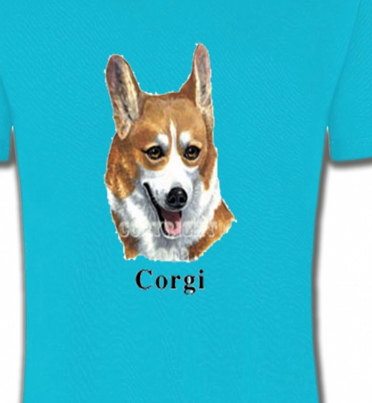 Tête de Welsh Corgi (B)