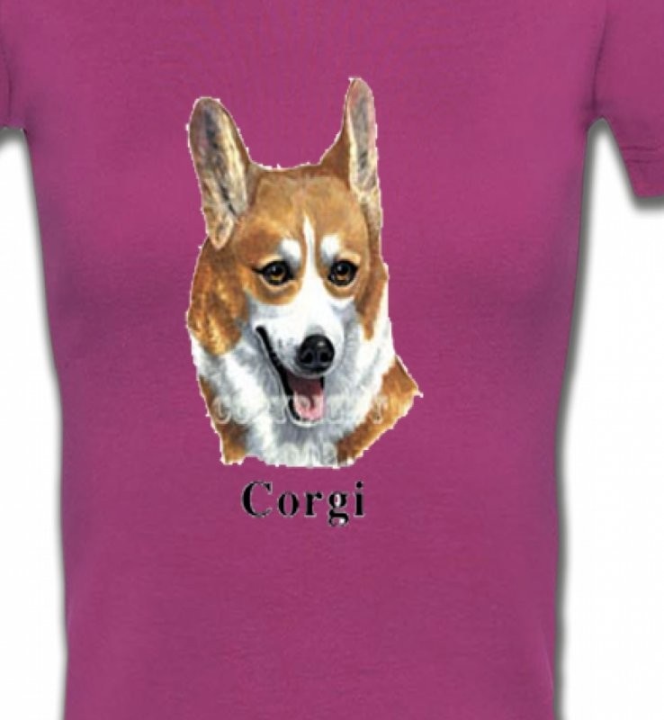 Tête de Welsh Corgi (B)
