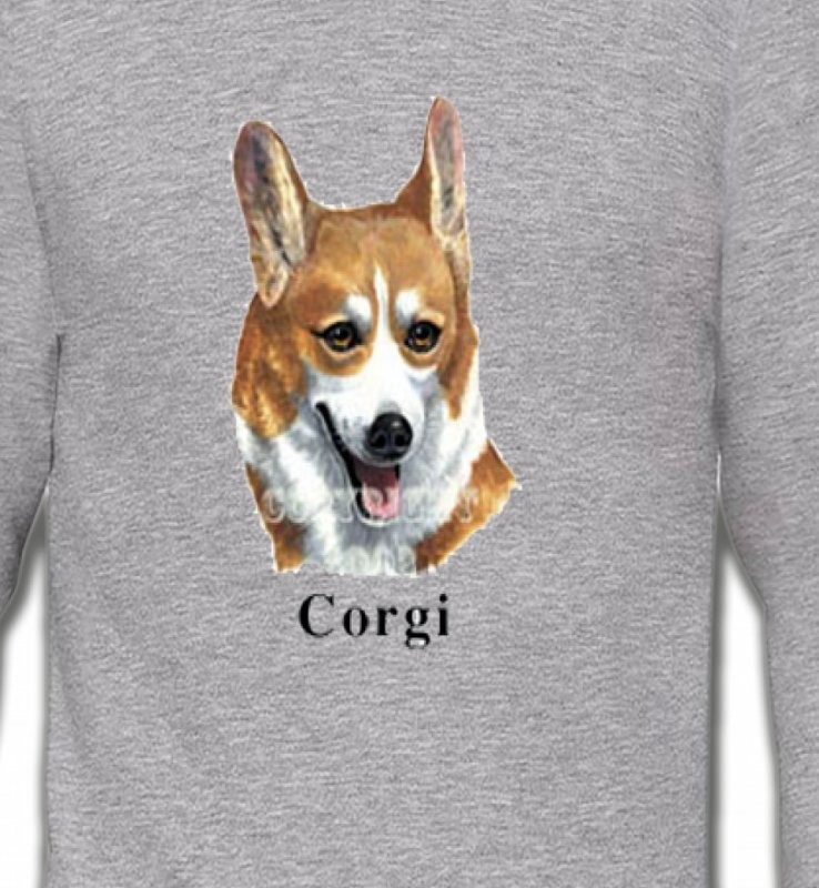 Tête de Welsh Corgi (B)