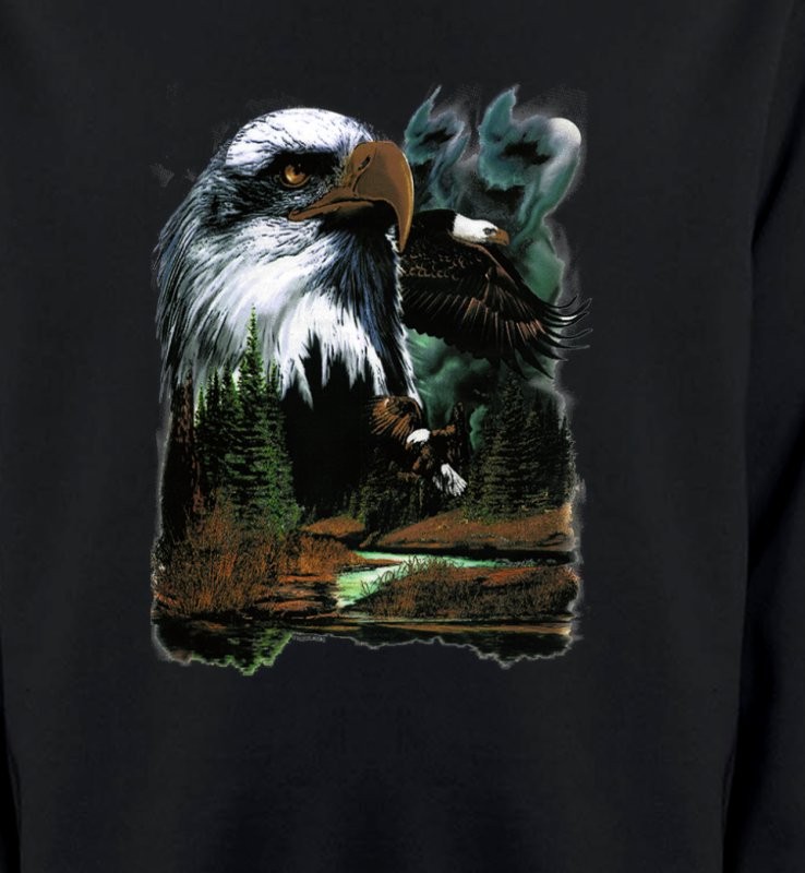 Aigle royal dans la forêt