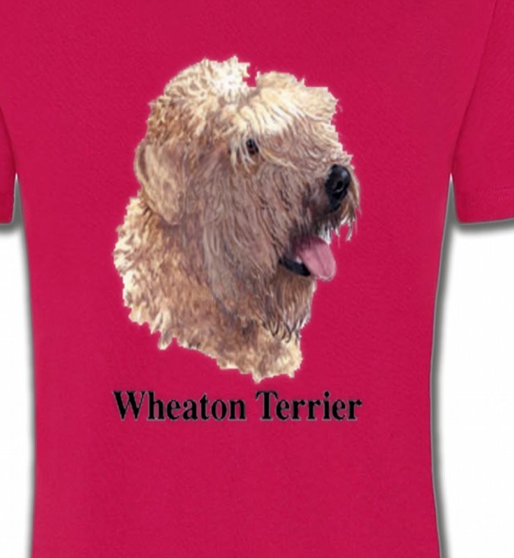 Wheaten Terrier (J)