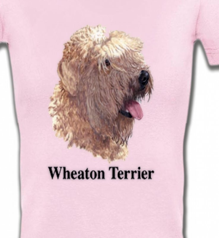 Wheaten Terrier (J)