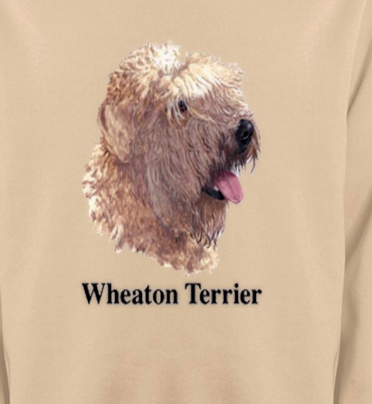 Wheaten Terrier (J)