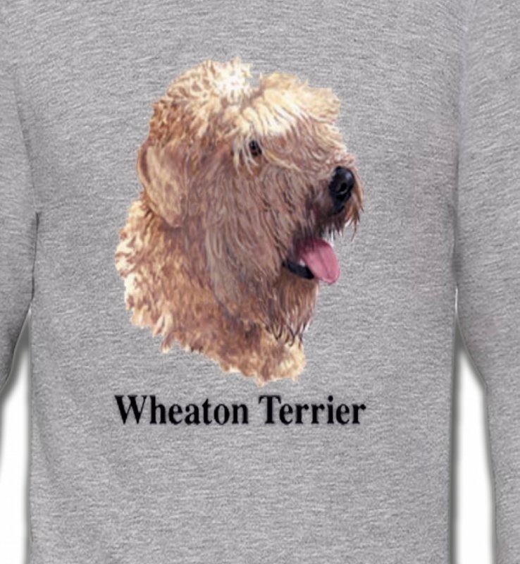 Wheaten Terrier (J)