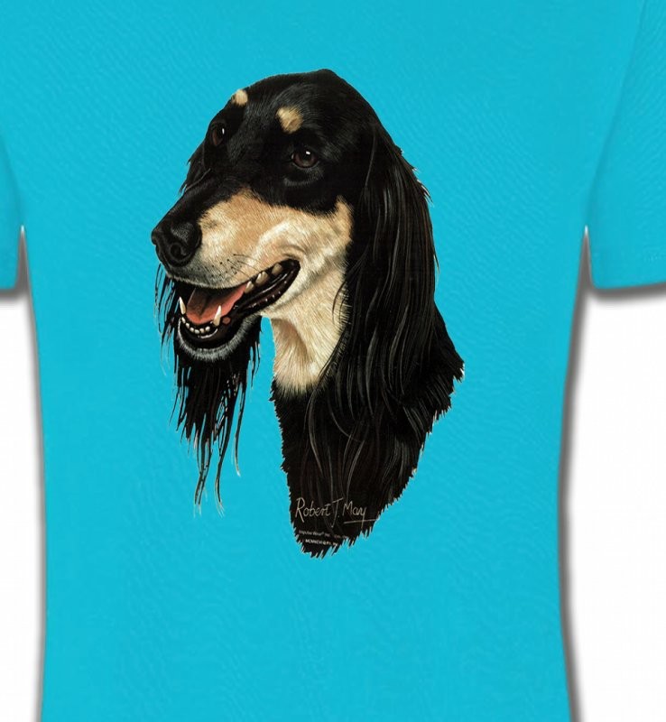 Lévrier Persan Saluki (I)