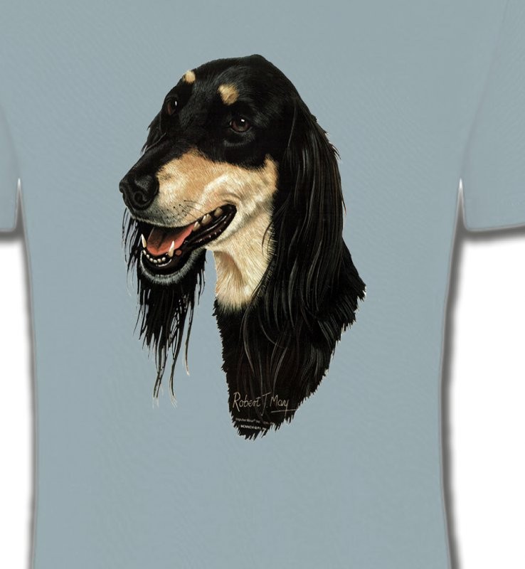 Lévrier Persan Saluki (I)