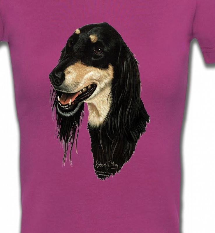 Lévrier Persan Saluki (I)