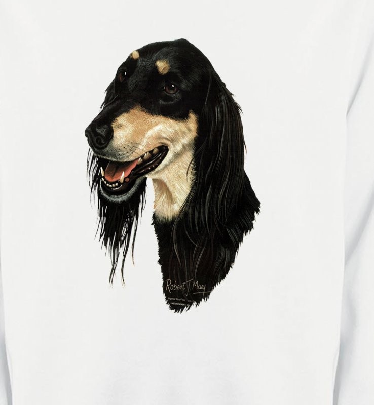 Lévrier Persan Saluki (I)