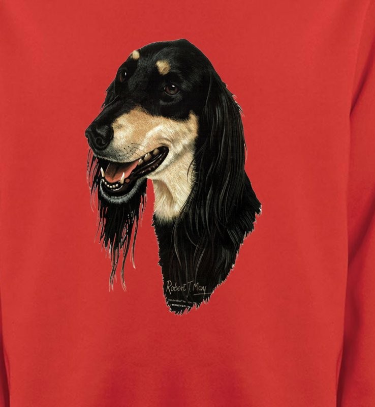 Lévrier Persan Saluki (I)