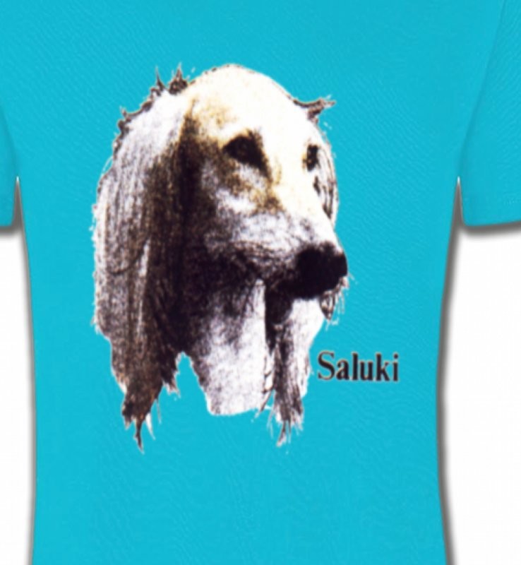 Lévrier Persan Saluki (K)