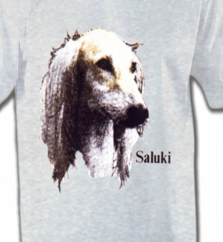Lévrier Persan Saluki (K)