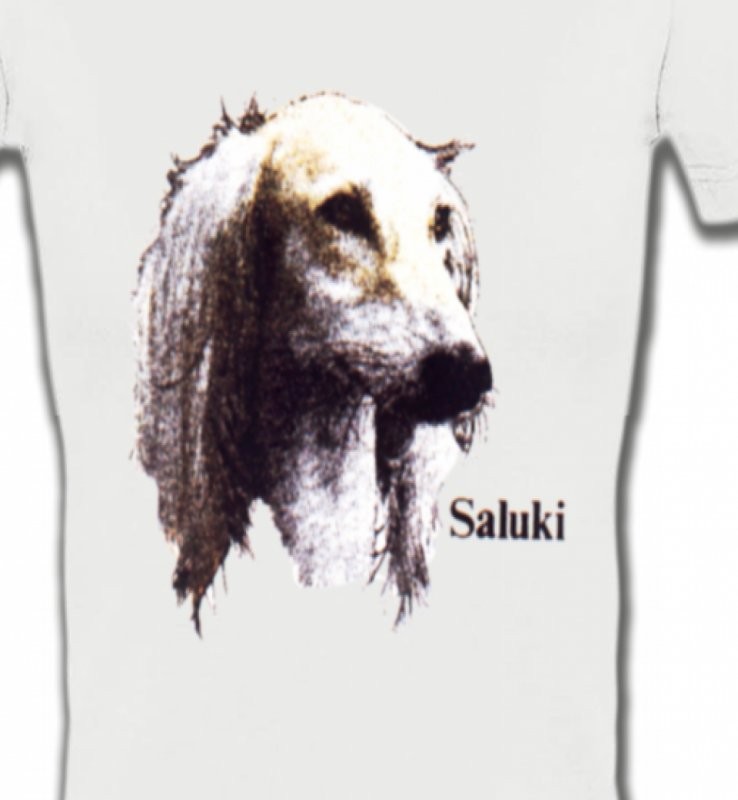 Lévrier Persan Saluki (K)