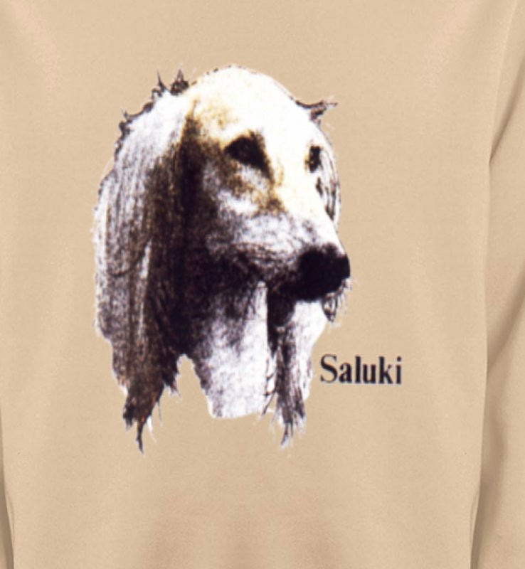 Lévrier Persan Saluki (K)