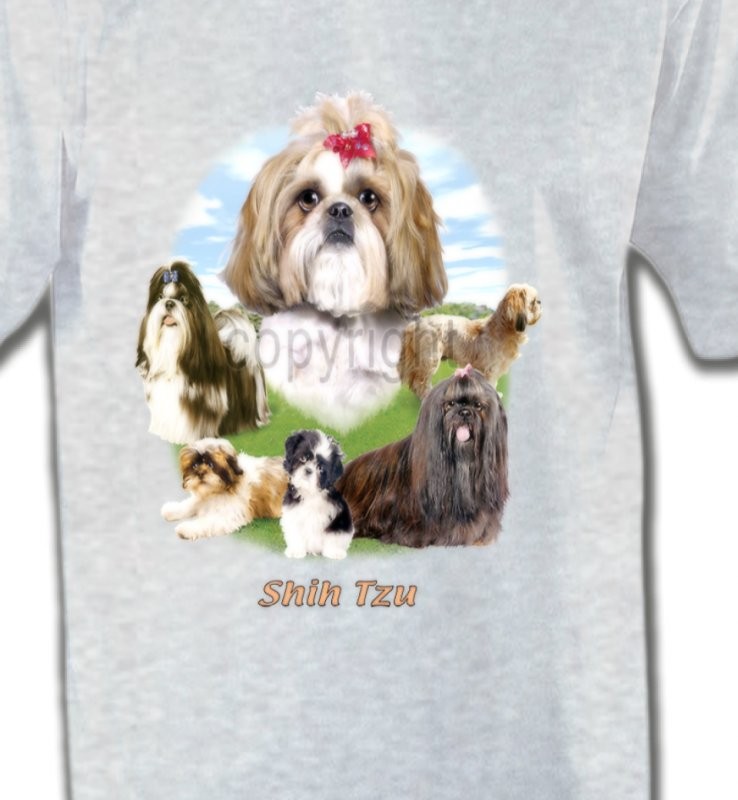 Shih Tzu paysage  (B)