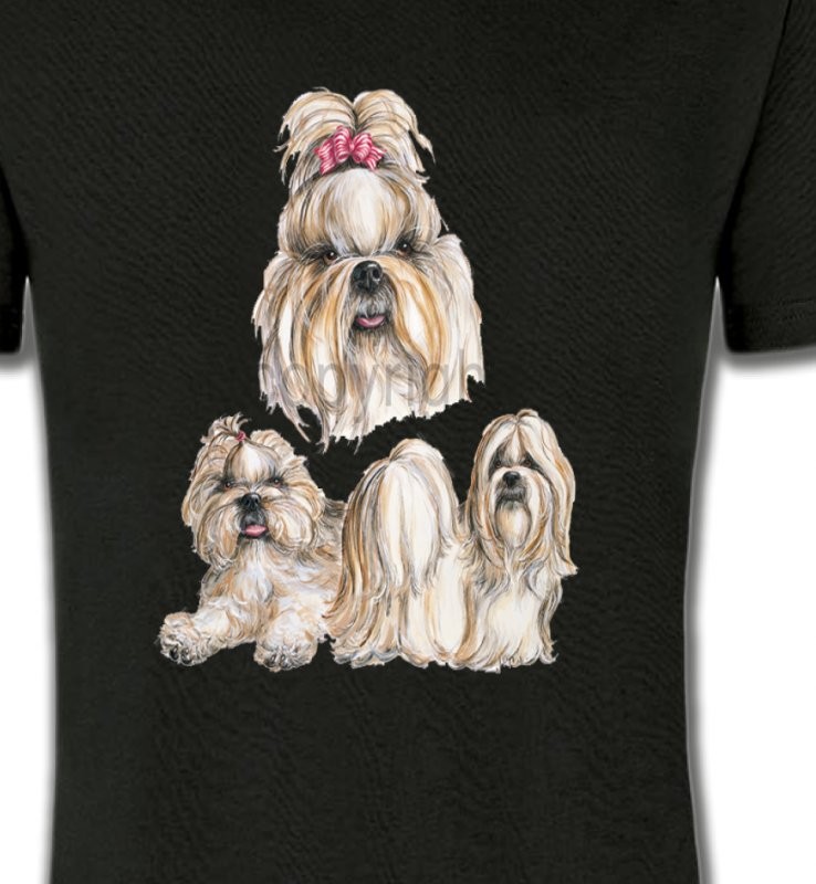Shih Tzu (A)