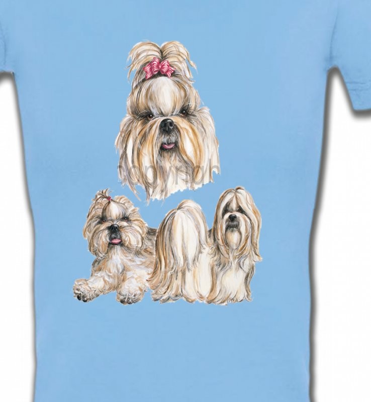 Shih Tzu (A)
