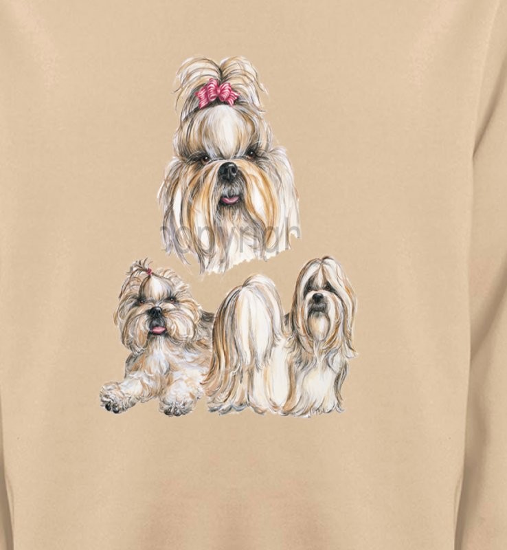 Shih Tzu (A)