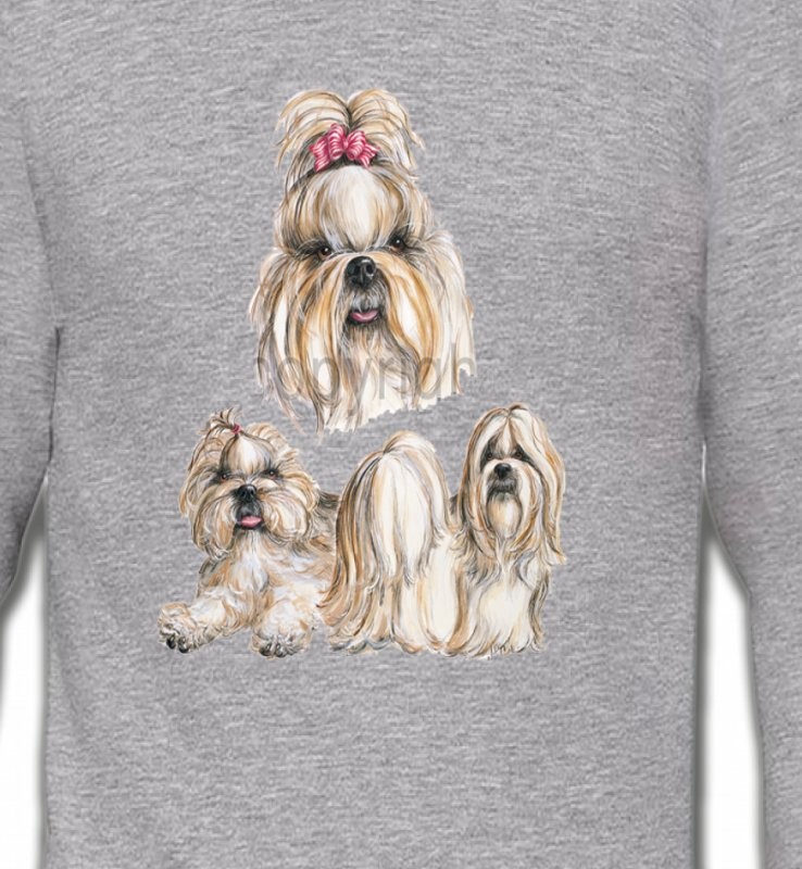 Shih Tzu (A)