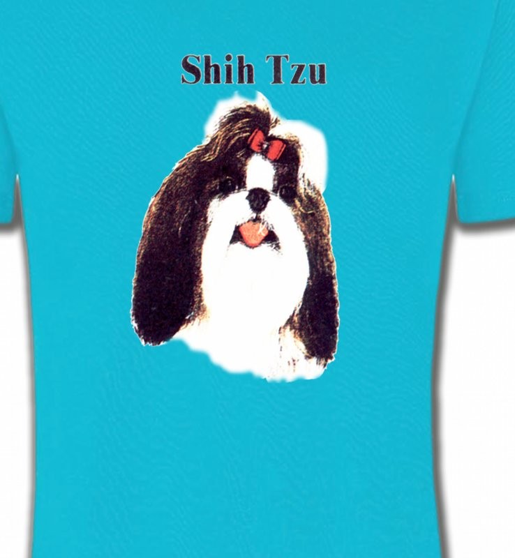Tête de Shih Tzu (D)