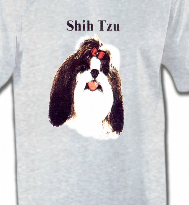 Tête de Shih Tzu (D)