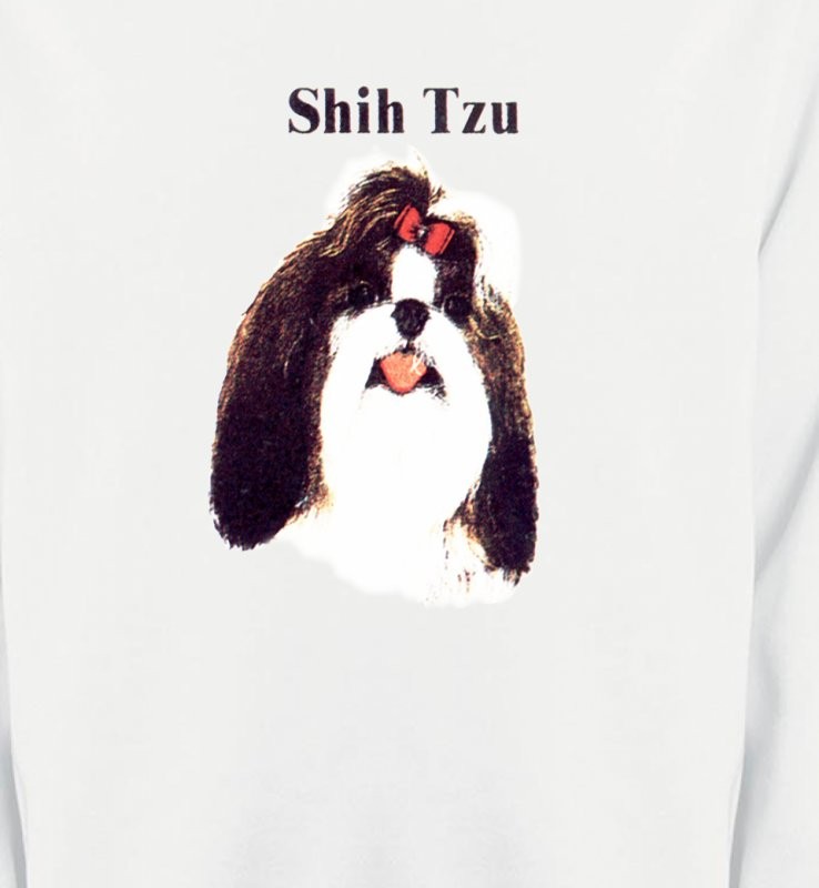 Tête de Shih Tzu (D)