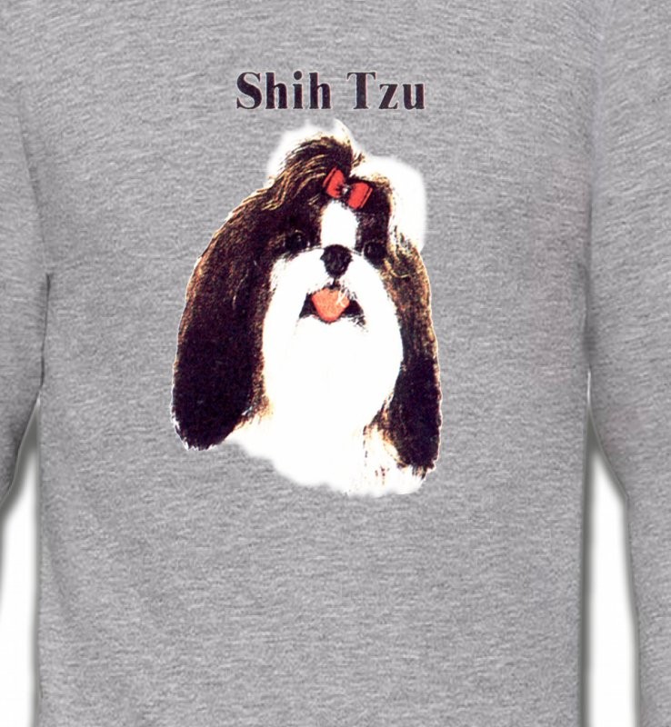 Tête de Shih Tzu (D)