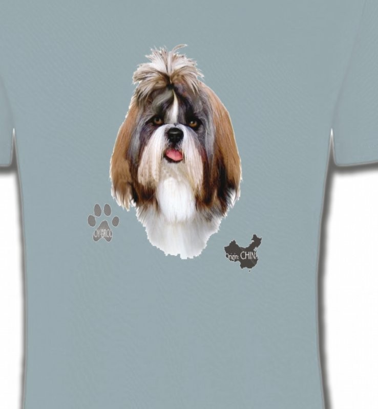 Shih Tzu (F)