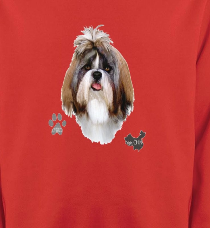 Shih Tzu (F)