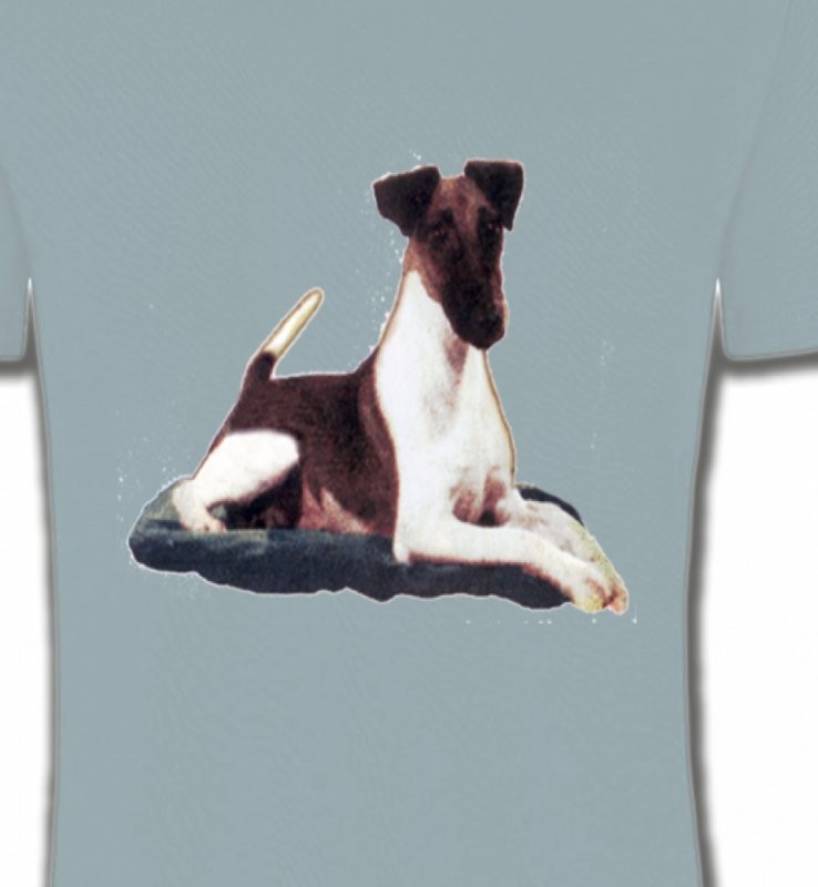 Fox Terrier (K)