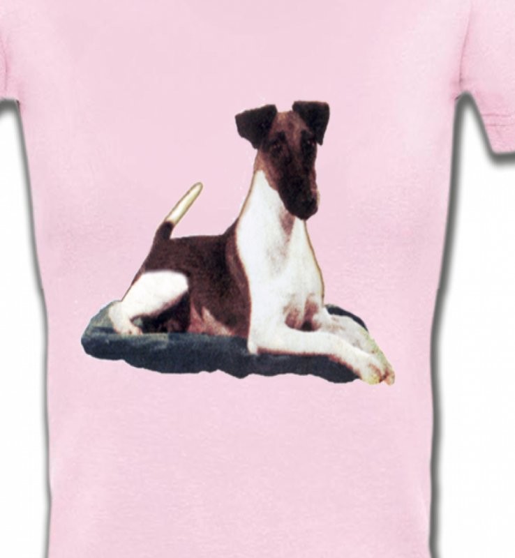 Fox Terrier (K)