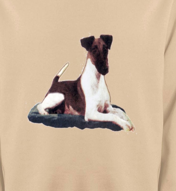 Fox Terrier (K)
