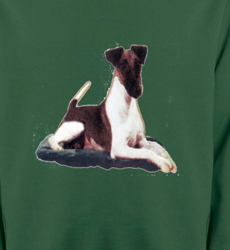 Fox Terrier (K)