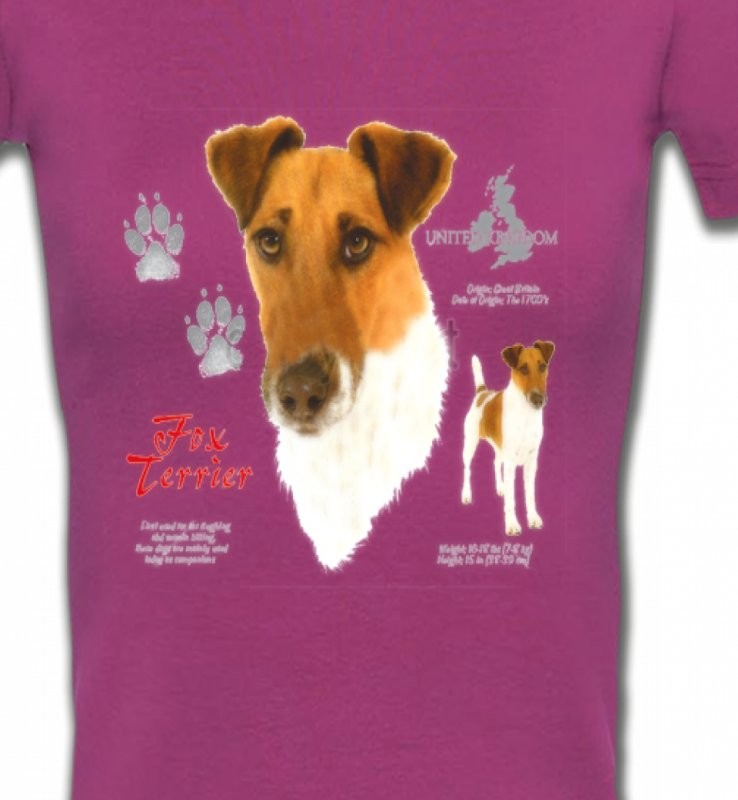 Fox Terrier (E)