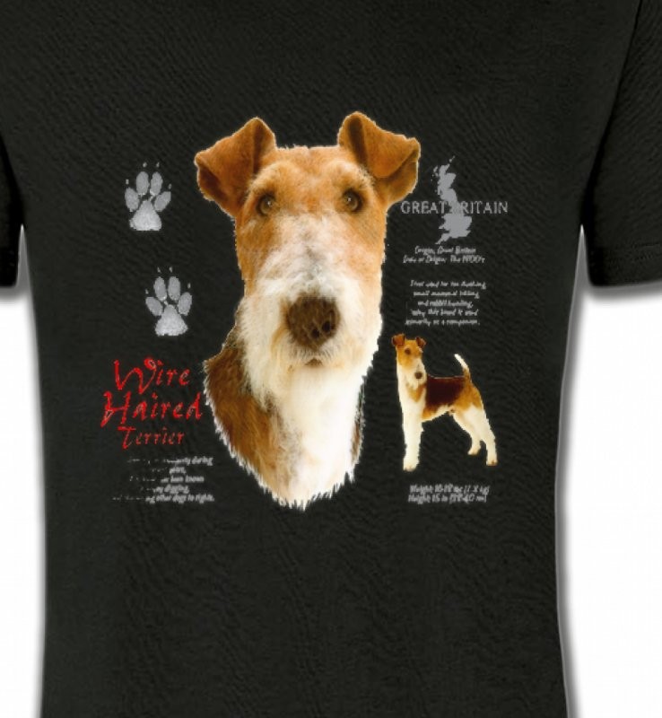 Fox Terrier (B)