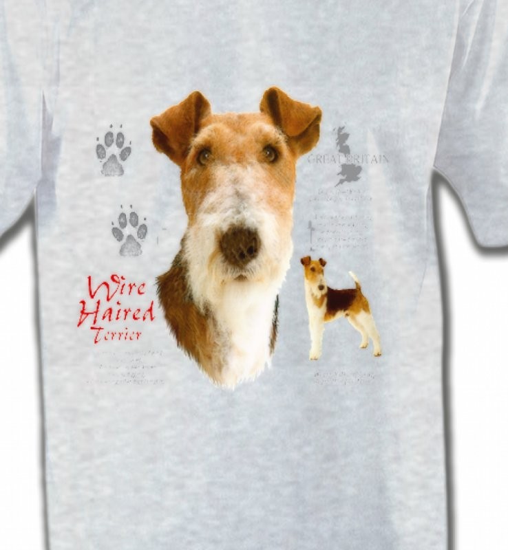 Fox Terrier (B)