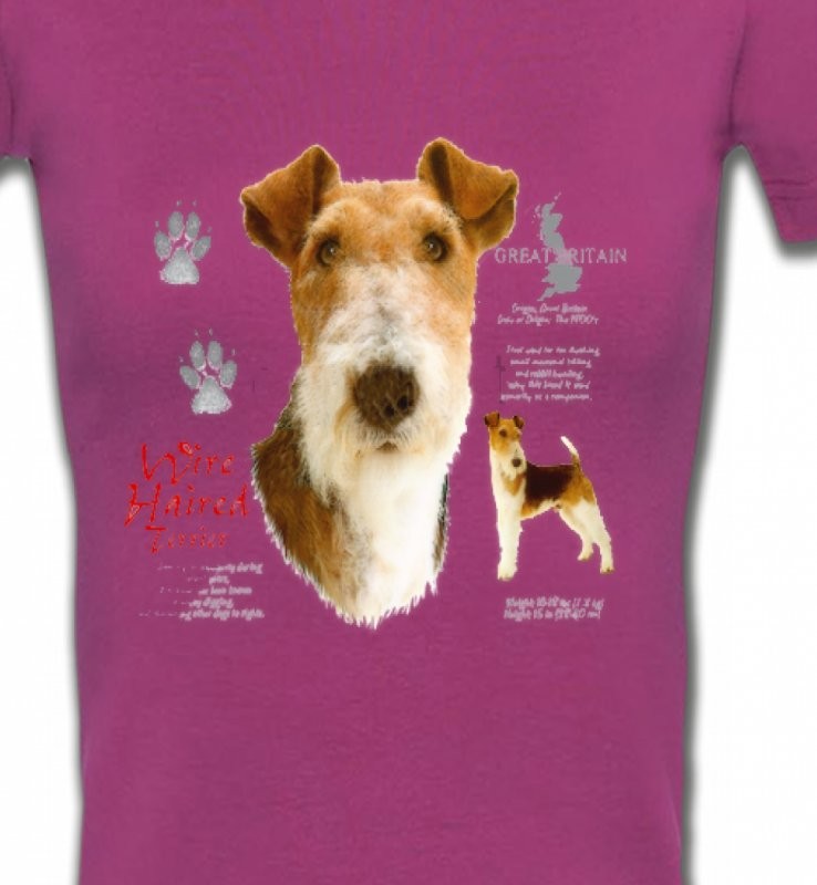 Fox Terrier (B)