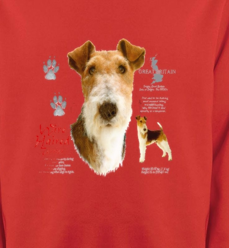 Fox Terrier (B)